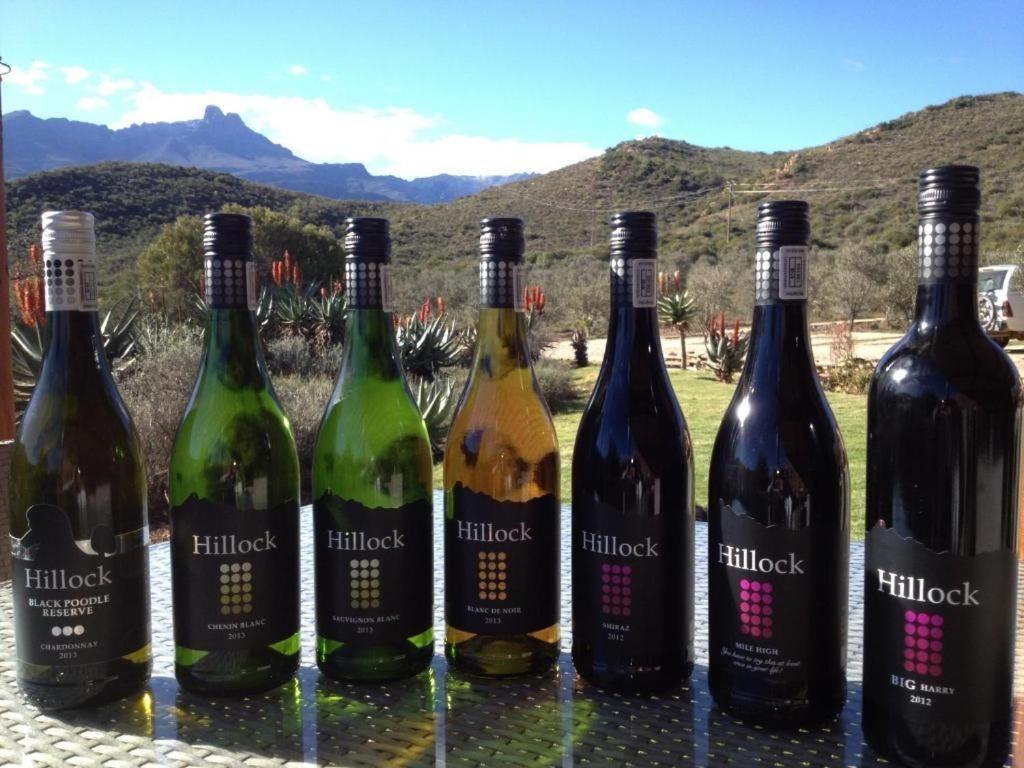 Mymering Wine & Guest Estate Ladismith Kültér fotó