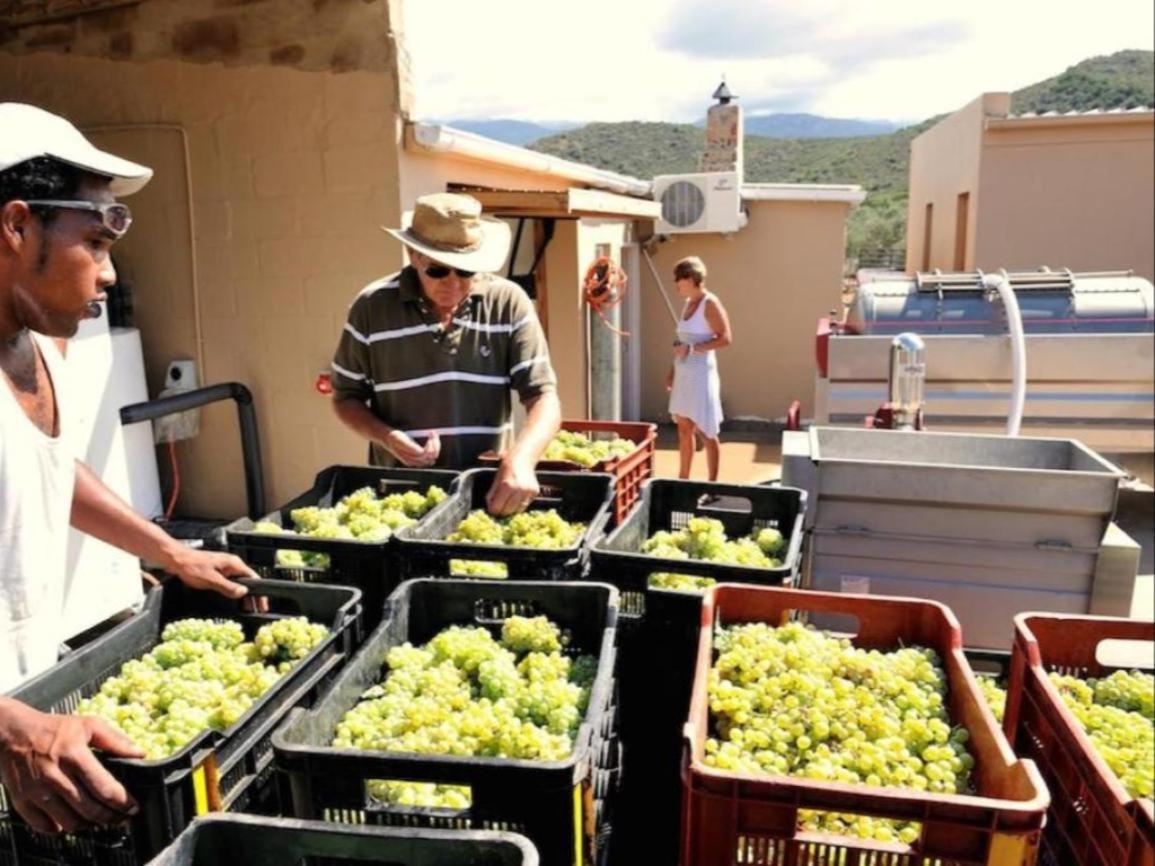 Mymering Wine & Guest Estate Ladismith Kültér fotó