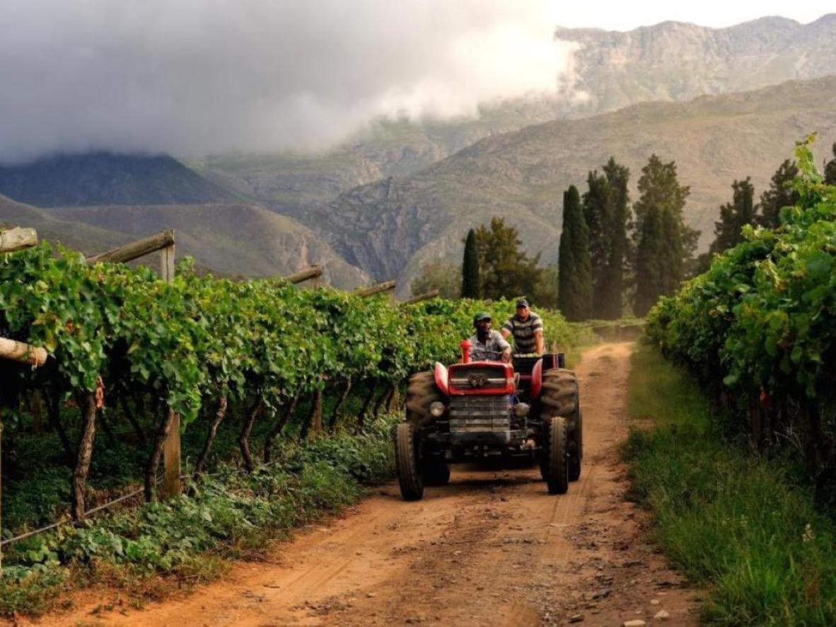 Mymering Wine & Guest Estate Ladismith Kültér fotó