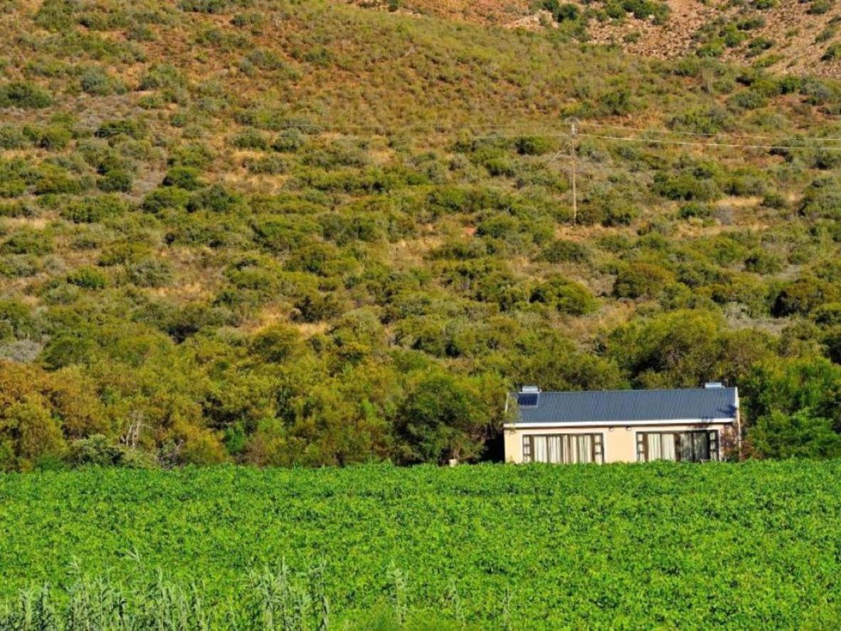 Mymering Wine & Guest Estate Ladismith Kültér fotó