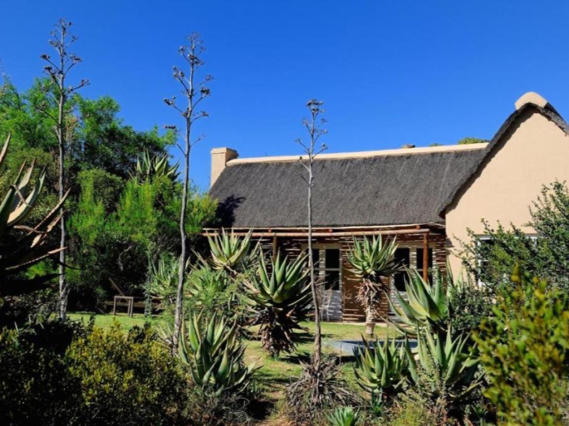 Mymering Wine & Guest Estate Ladismith Szoba fotó