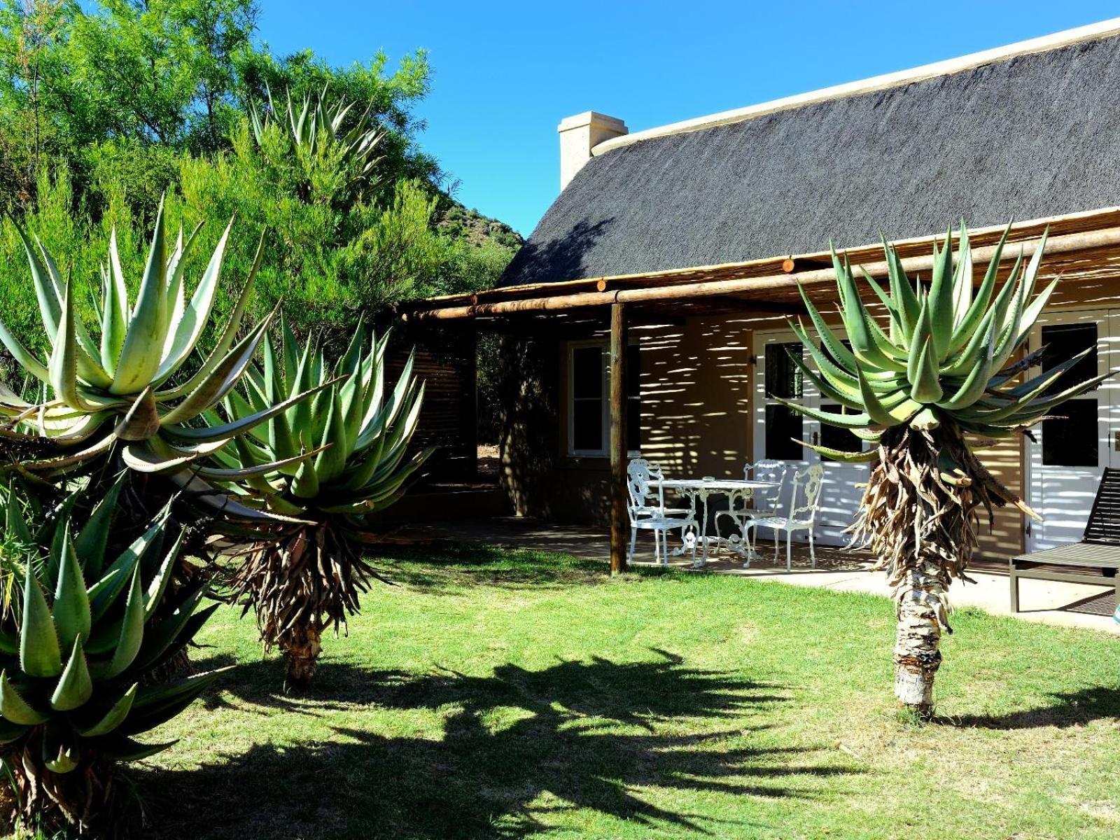 Mymering Wine & Guest Estate Ladismith Szoba fotó