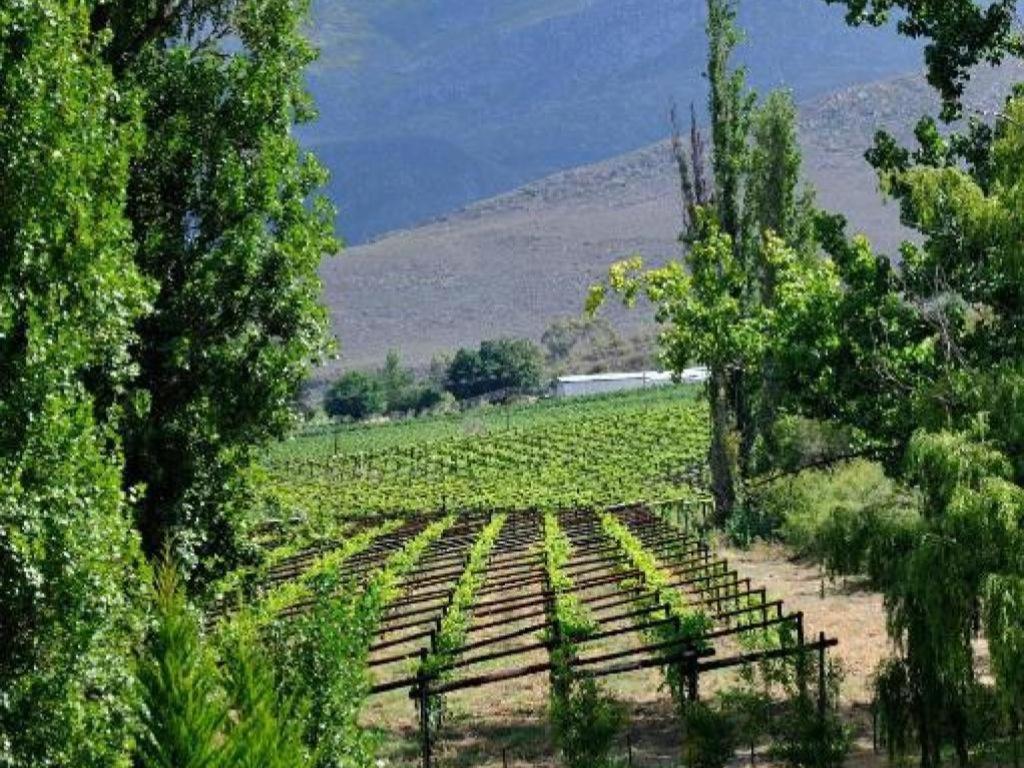 Mymering Wine & Guest Estate Ladismith Kültér fotó